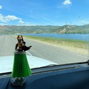 Meet your Posher, Chase